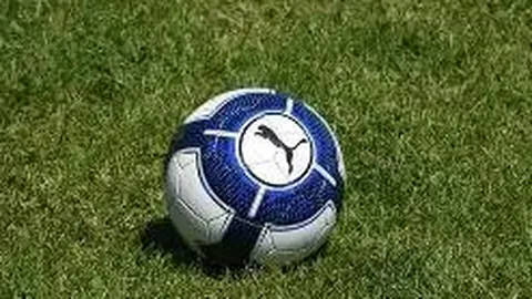 德勤报告：疫情致英超亏损超10亿镑，德甲领跑欧洲盈利联赛排名